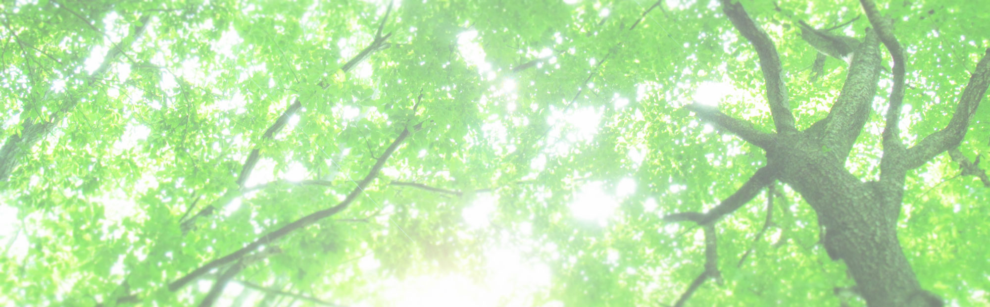 キービジュアルイメージ